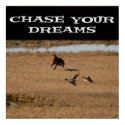 Chase Your Dreams posters by creative_eye Chase Your Dreams posters