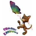 Chasin' Rainbows t-shirts