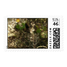 Chasing Nature Ladybug Postage