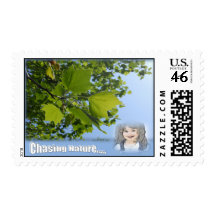 Chasing Nature Postage