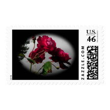 Chasing Nature Stamp