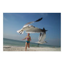 Chasing the Birds posters