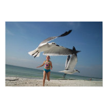 Chasing the Birds posters by LazyLuxury Chasing the Birds posters