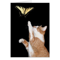 chasing your dream cards