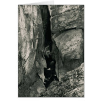 Chasm # 3 cards