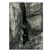 Chasm # 3 card