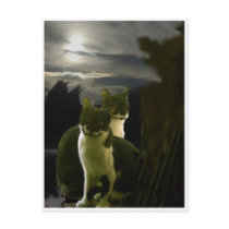 chat postcards