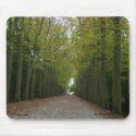 Chateau de Chenonceau Mousepad