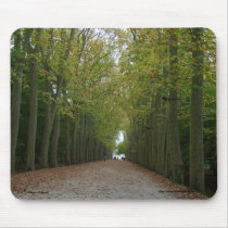 Chateau de Chenonceau Mousepad