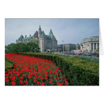 Chateau Laurier Hotel, Ottawa flowers Greeting Card