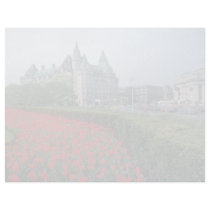 Chateau Laurier Hotel, Ottawa flowers Letterhead Design