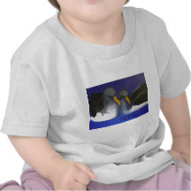 Chatham Albatross (Thalassarche eremita) Shirts