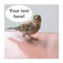 Chattering Sparrow canvas Stretched Canvas Prints