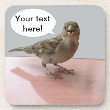 Chattering Sparrow Drink Coasters