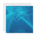 Chatting Dolphin Pair Invitations