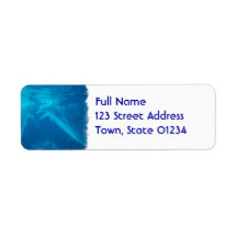 Chatting Dolphin Pair Return Address Mailing Label