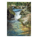 Chattooga River posters