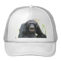 Chatty Chimp Baseball Hat