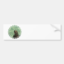 Chatty Sea Lion Bumper Sticker