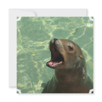 Chatty Sea Lion Invitations