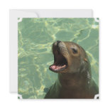 Chatty Sea Lion Invitations