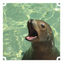 Chatty Sea Lion Invitations