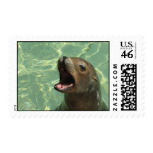 Chatty Sea Lion Postage Stamp