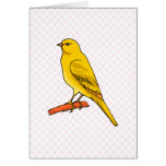 Chaz Canary Card