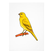 Chaz Canary Invitation