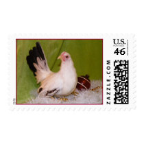 Chciken Holiday stamp