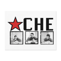 Che Guevara Pictures! Postcard