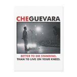 Che Guevara Products &amp; Designs! Post Cards