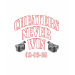 Ladies Long Sleeve