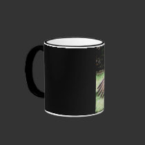 Check this out! mugs