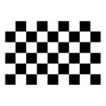 Checkered Black and White posters