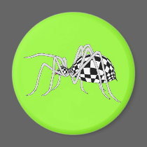 Checkered Spider magnets