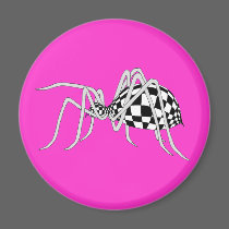 Checkered Spider magnets