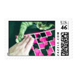 Checkers Cat Stamp ! by Jokeapptv tm