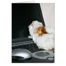 Checking email cards