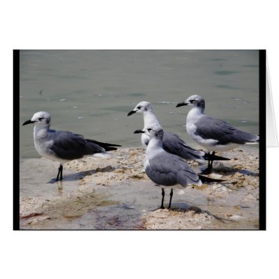 Checking Things Out... Greeting Card by AngelasFocusedOnYou