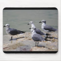 Checking Things Out... mousepads by AngelasFocusedOnYou Checking Things Out... mousepads