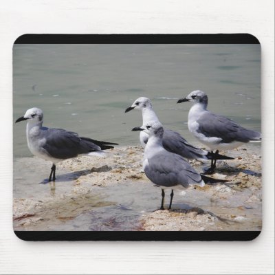 Checking Things Out... Mouse Mat by AngelasFocusedOnYou