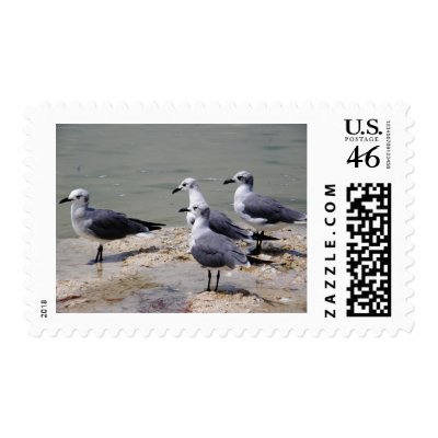 Checking Things Out... Postage Stamps by AngelasFocusedOnYou