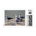 Checking Things Out... postage by AngelasFocusedOnYou Checking Things Out... postage