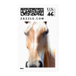 Checking things out postage