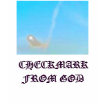 checkmark from God, CHECKMARK FROM GOD T Shirts
