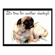 Checkup pug veterinarian reminder postcard