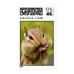 Cheeky Chipmunk Postage
