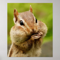 Cheeky Chipmunk Poster