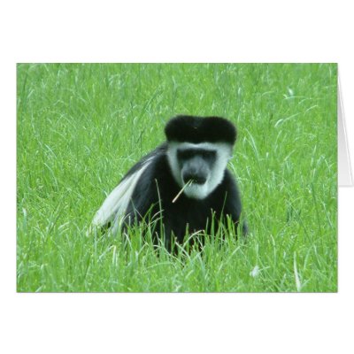 cheeky monkey cards by Libby